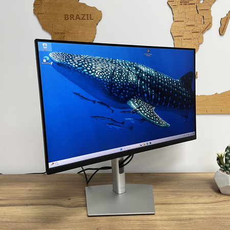 Monitor Dell P2422H/ 24"/ FHD/ Klasa A-