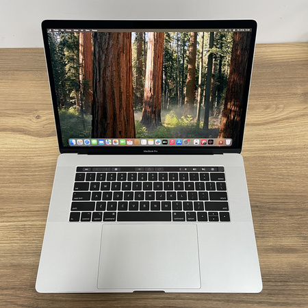 Apple MacBook Pro 15 A1990/ 2019/ i7-9750H/ Radeon Pro 555X 4GB/ 32GB RAM/ 512GB SSD/ Space Gray/ Klasa A