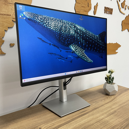 Monitor Dell P2422H/ 24"/ FHD/ Klasa A-