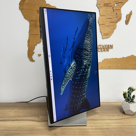 Monitor Dell P2422H/ 24"/ FHD/ Klasa A-