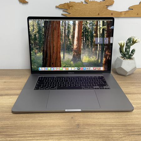 Apple MacBook Pro 16 A2141/ 2019/ i7-9750H/ 16GB RAM/ 512GB SSD/ Radeon Pro 5500M 8GB/ 3072x1920/ Space Gray/ Klasa A-
