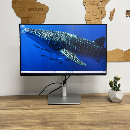 Monitor Dell P2422H/ 24"/ FHD/ Klasa A-