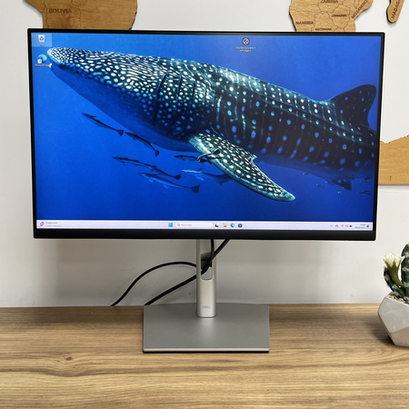 Monitor Dell P2422H/ 24"/ FHD/ Klasa A